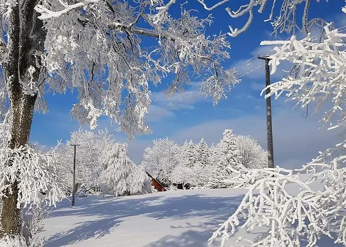 Lägenhet Horsky